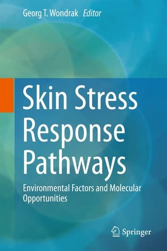 Skin Stress Response Pathways Environmental Factors and Molecular Opportunities