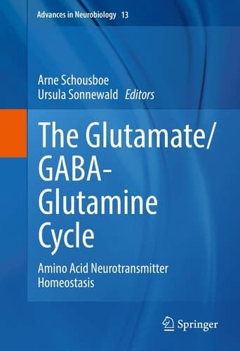 The Glutamate/GABA-Glutamine Cycle Amino Acid Neurotransmitter Homeostasis