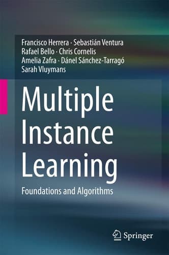 Multiple Instance Learning Foundations and Algorithms