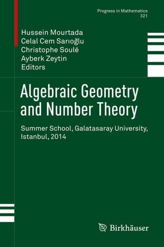 Algebraic Geometry and Number Theory Summer School, Galatasaray University, Istanbul, 2014