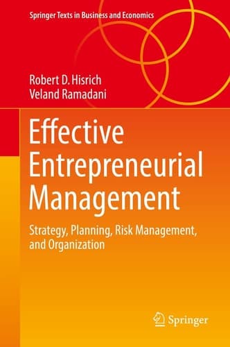 Effective Entrepreneurial Management Strategy, Planning, Risk Management, and Organization