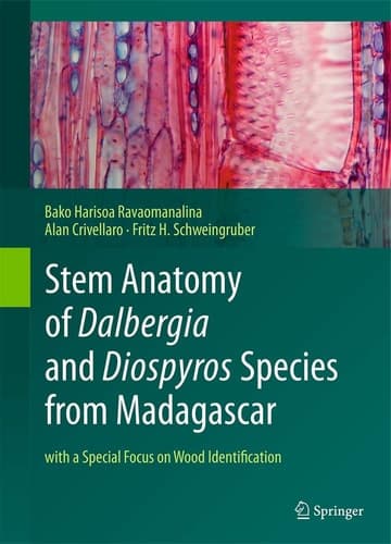 Stem Anatomy of Dalbergia and Diospyros Species from Madagascar with a Special Focus on Wood Identification