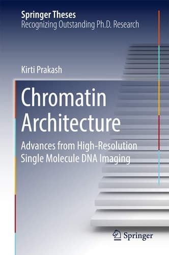 Chromatin Architecture Advances From High-resolution Single Molecule DNA Imaging