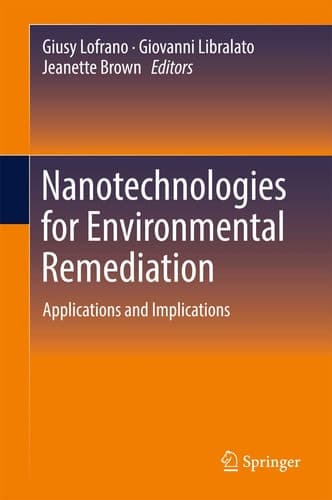 Nanotechnologies for Environmental Remediation Applications and Implications