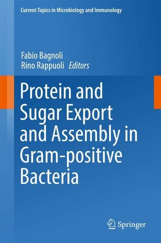 Protein and Sugar Export and Assembly in Gram-positive Bacteria