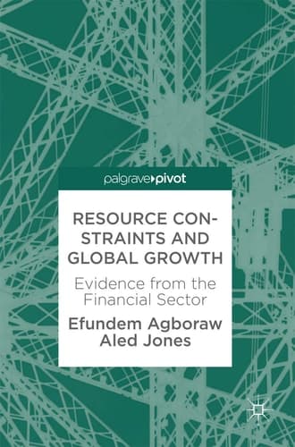 Resource Constraints and Global Growth Evidence from the Financial Sector