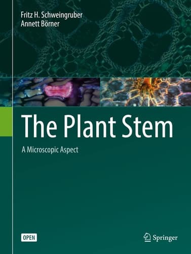 The Plant Stem A Microscopic Aspect