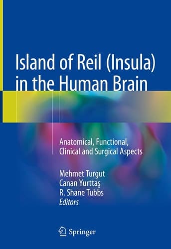 Island of Reil (Insula) in the Human Brain Anatomical, Functional, Clinical and Surgical Aspects