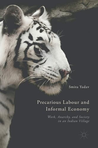 Precarious Labour and Informal Economy Work, Anarchy, and Society in an Indian Village