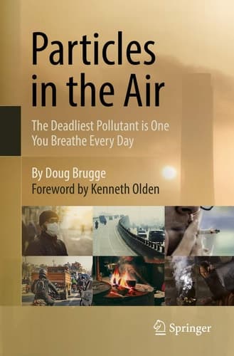Particles in the Air The Deadliest Pollutant is One You Breathe Every Day
