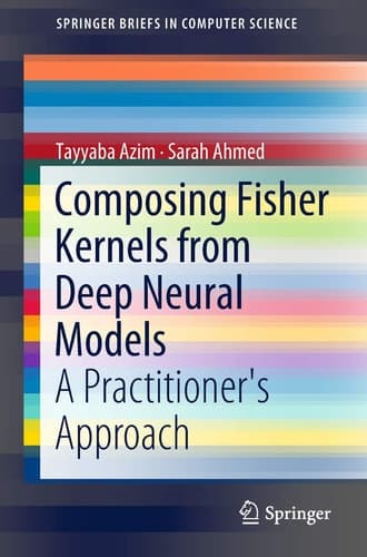 Composing Fisher Kernels from Deep Neural Models A Practitioner's Approach