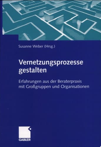 Vernetzungsprozesse Gestalten Erfahrungen Aus Der Beraterpraxis Mit Grossgruppen Und Organisationen