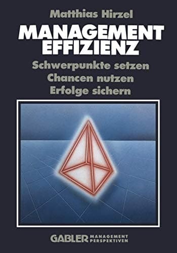 Management Effizienz Schwerpunkte setzen Chancen nutzen Erfolge sichern
