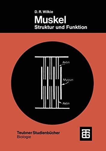 Muskel Struktur und Funktion