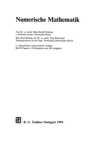 Numerische Mathematik (German Edition)