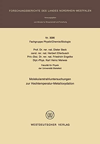 Molekularstrahluntersuchungen zur Hochtemperatur-Metalloxydation