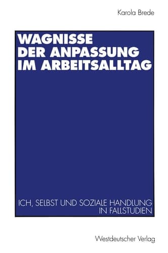Wagnisse der Anpassung im Arbeitsalltag Ich, Selbst und soziale Handlung in Fallstudien