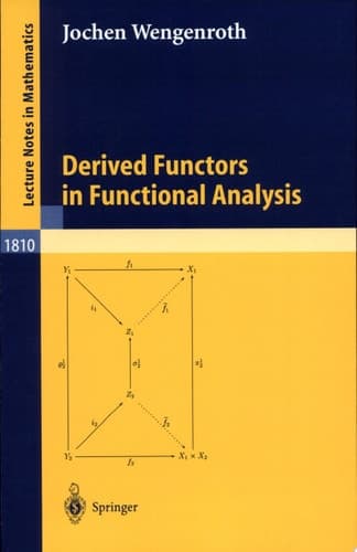 Derived Functors in Functional Analysis