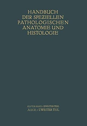 Auge Zweiter Teil