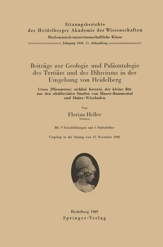 Beiträge zur Geologie und Paläontologie des Tertiärs und des Diluviums in der Umgebung von Heidelberg Ursus (Plionarctos) stehlini Kretzoi, der kleine Bär aus den altdiluvialen Sanden von Mauer-Bammental und Mainz-Wiesbaden