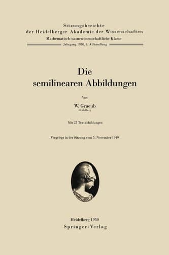 Die semilinearen Abbildungen