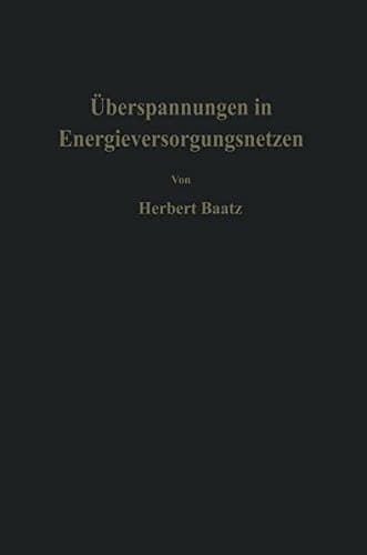Überspannungen in Energieversorgungsnetzen (German Edition)