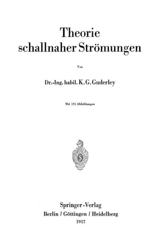 Theorie schallnaher Strömungen (German Edition)