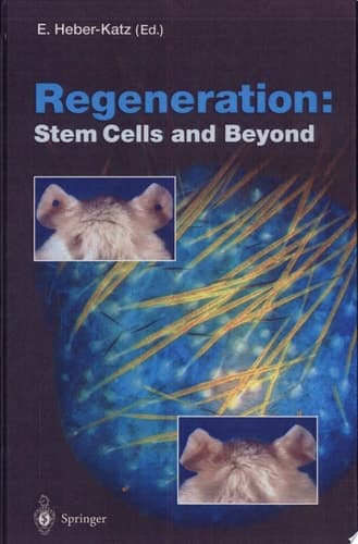 Regeneration: Stem Cells and Beyond