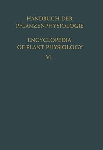 Aufbau · Speicherung · Mobilisierung und Umbildung der Kohlenhydrate / Formation · Storage · Mobilization and Transformation of Carbohydrates