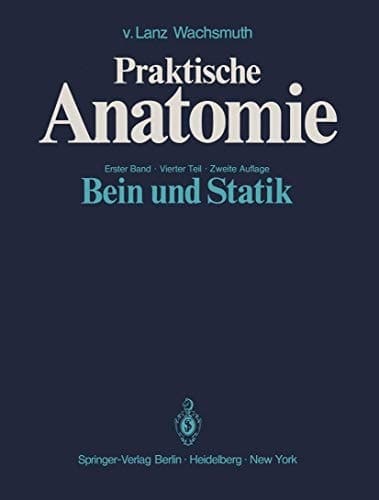 Bein und Statik