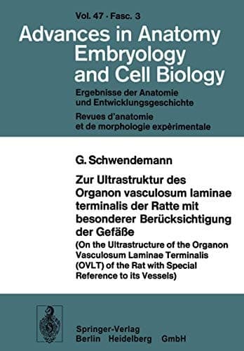 Zur Ultrastruktur des Organon vasculosum laminae terminalis der Ratte mit besonderer Berücksichtigung der Gefäße