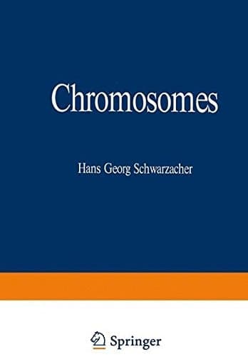 Chromosomes in Mitosis and Interphase