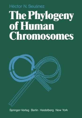 The Phylogeny of Human Chromosomes