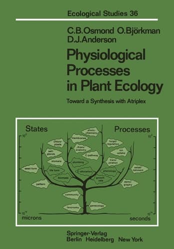 Physiological Processes in Plant Ecology: Toward a Synthesis with Atriplex (Ecological Studies)