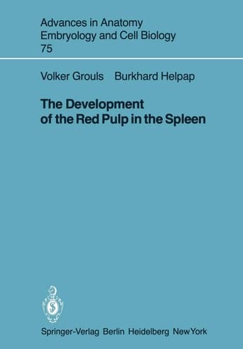The Development of the Red Pulp in the Spleen