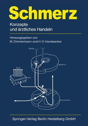 Schmerz Konzepte und ärztliches Handeln