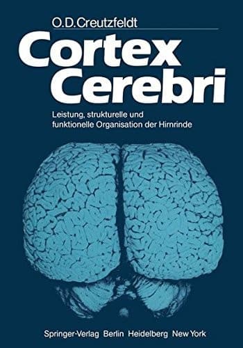 Cortex Cerebri Leistung, strukturelle und funktionelle Organisation der Hirnrinde