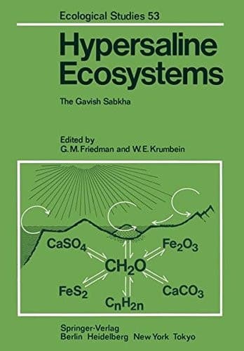 Hypersaline Ecosystems: The Gavish Sabkha (Ecological Studies)