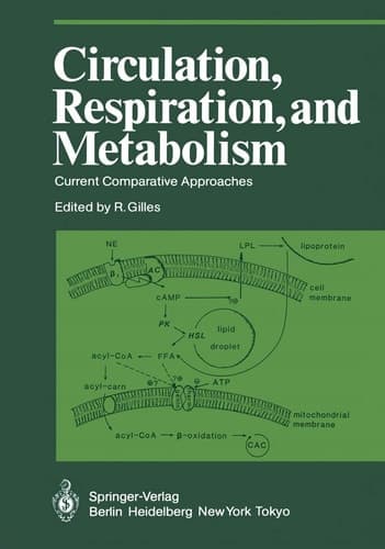 Circulation, Respiration, and Metabolism: Current Comparative Approaches (Proceedings in Life Sciences)