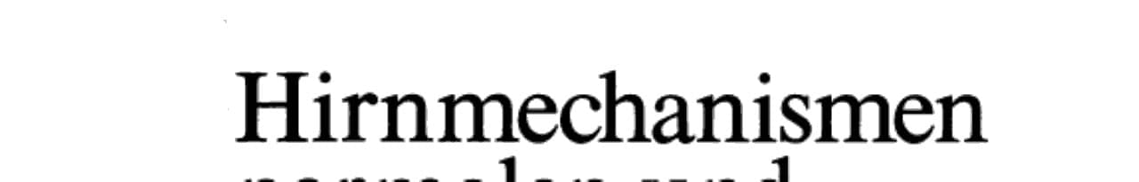 Hirnmechanismen normalen und schizophrenen Denkens Eine Synthese von Theorien und Daten