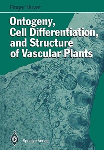 Ontogeny, Cell Differentiation, and Structure of Vascular Plants