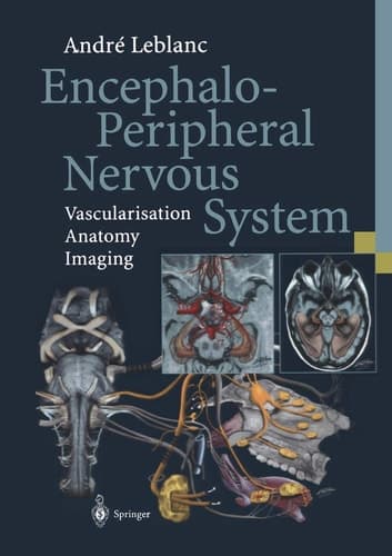 Encephalo-Peripheral Nervous System Vascularisation Anatomy Imaging