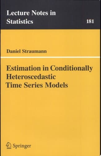 Estimation in Conditionally Heteroscedastic Time Series Models