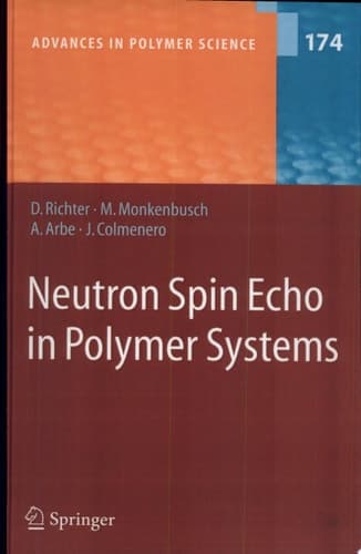 Neutron Spin Echo in Polymer Systems