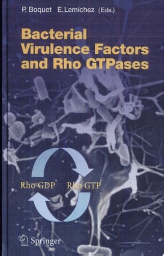 Bacterial Virulence Factors and Rho GTPases