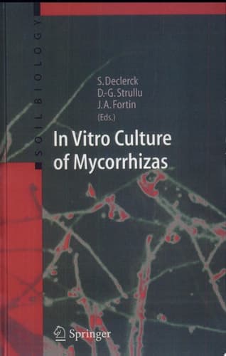 In Vitro Culture of Mycorrhizas