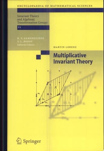 Multiplicative Invariant Theory