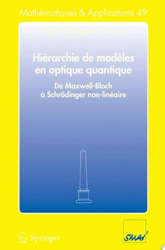 Hiérarchie de modèles en optique quantique De Maxwell-Bloch à Schrödinger non-linéaire