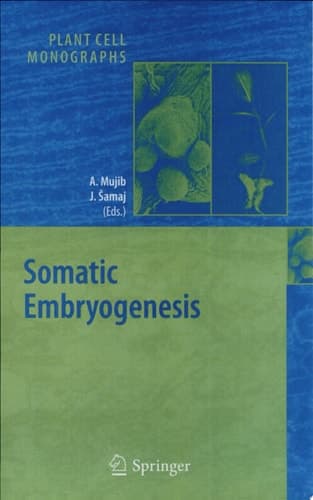 Somatic Embryogenesis