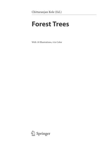 Forest Trees